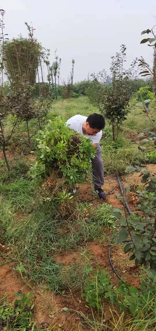 &#30343;&#20896;