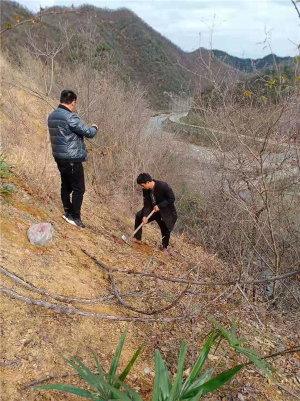 &#30343;&#20896;