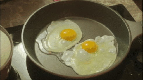 &#30343;&#20896;