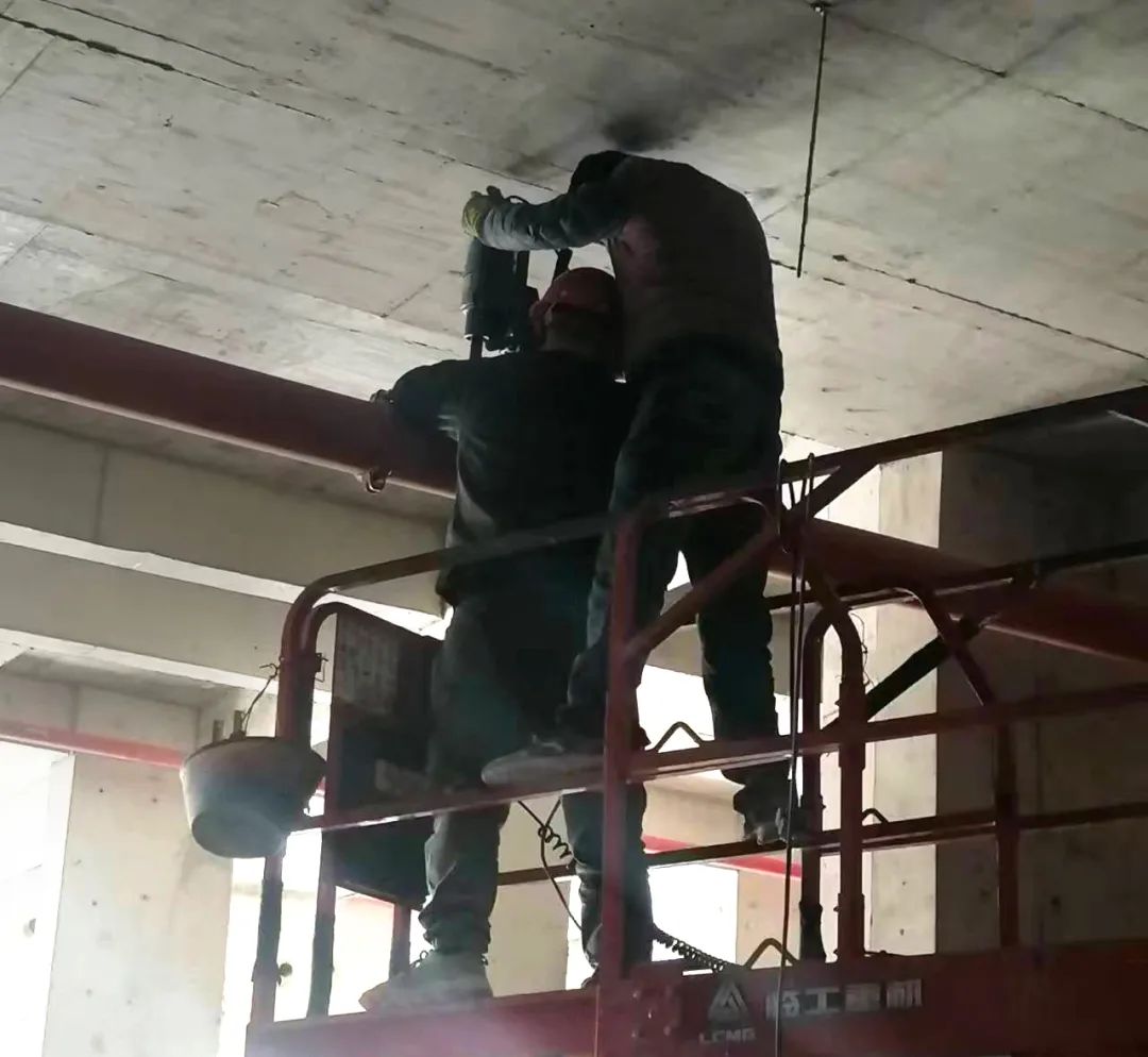 &#30343;&#20896;